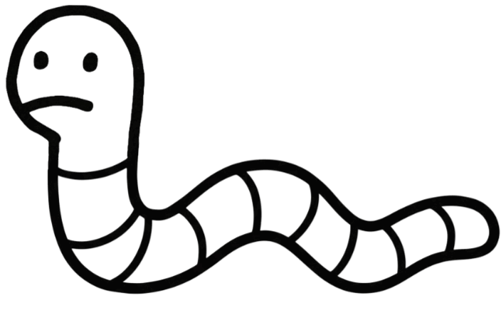 worm